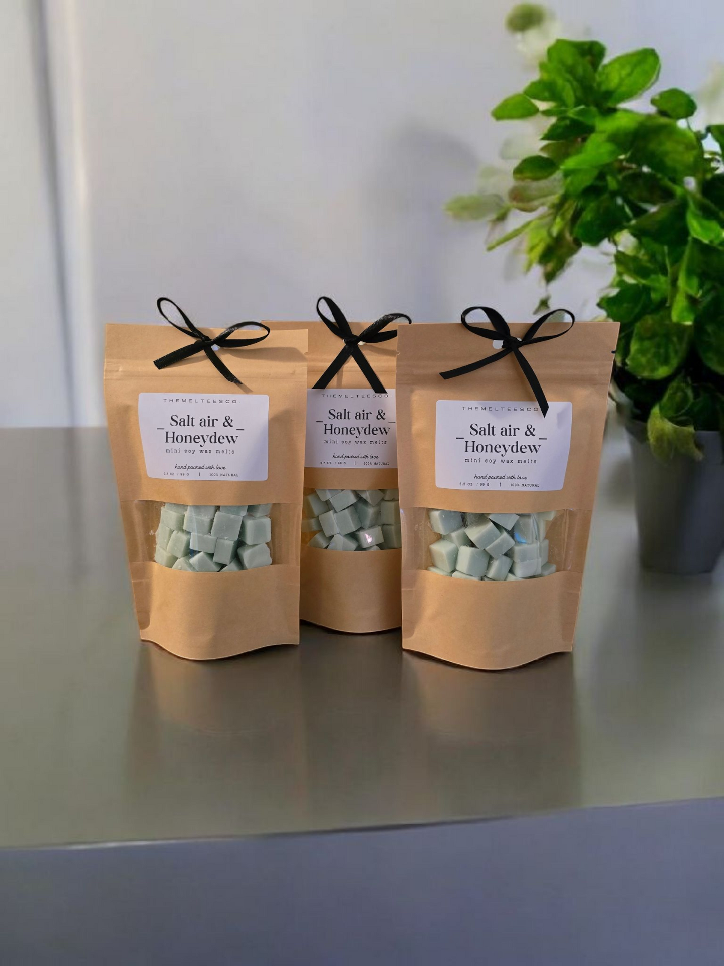 Salt Air & Honeydew Mini Wax Melts